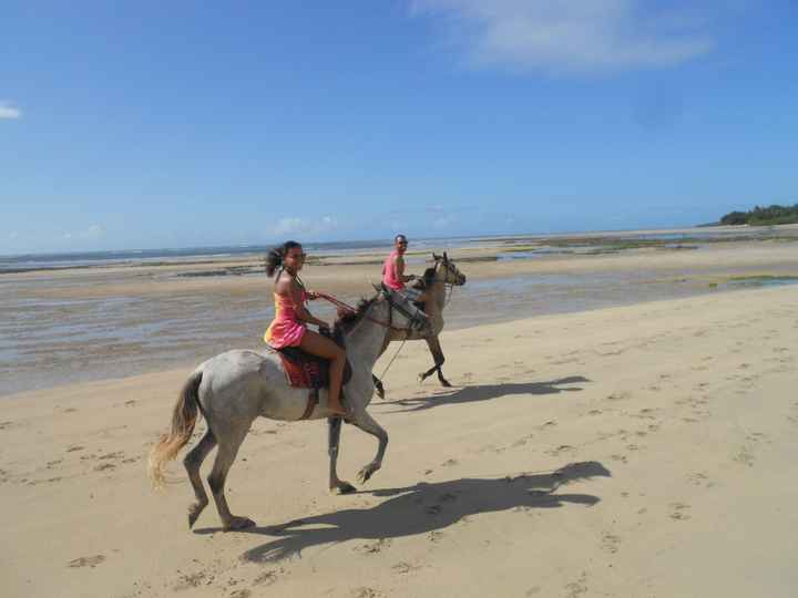 passeio a cavalo