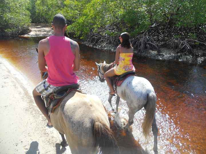 passeio a cavalo
