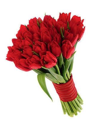 Buquê! bouquet! vem ver, vermelhos e belos. - 5