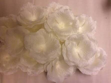 Comprinha no aliexpress - 1