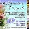 Irene