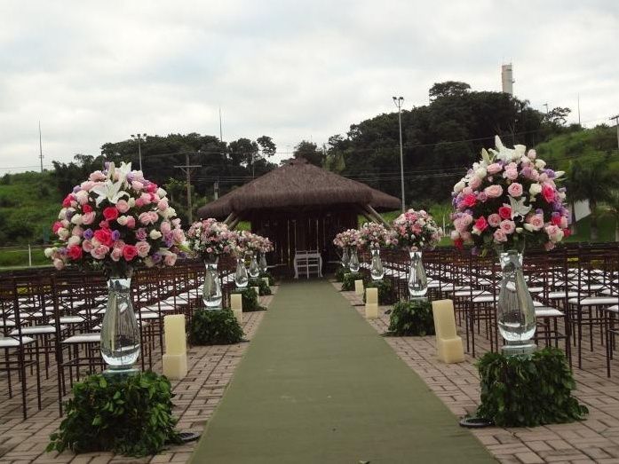 rosas em várias cores