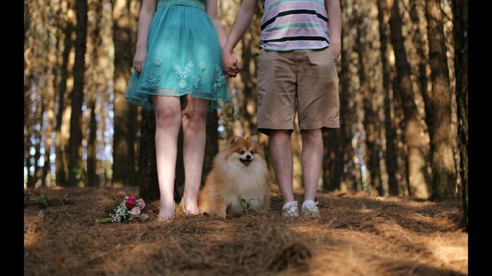 Pré wedding com o pet - 2
