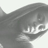 Aline