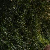  Fotos oficiais ✔ pré wedding Fer e Duda - 10