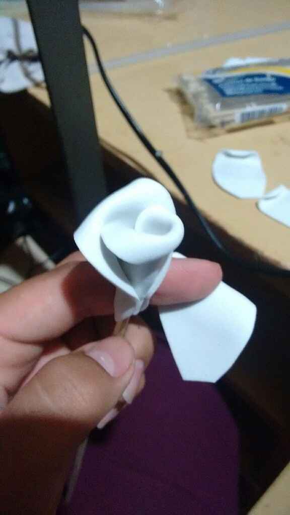 Rosas de eva - 6