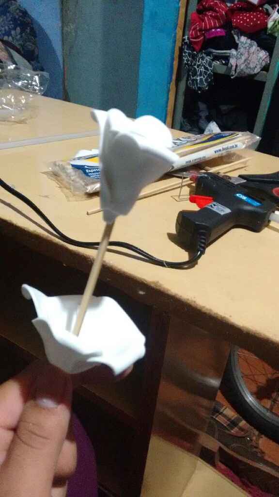 Rosas de eva - 10