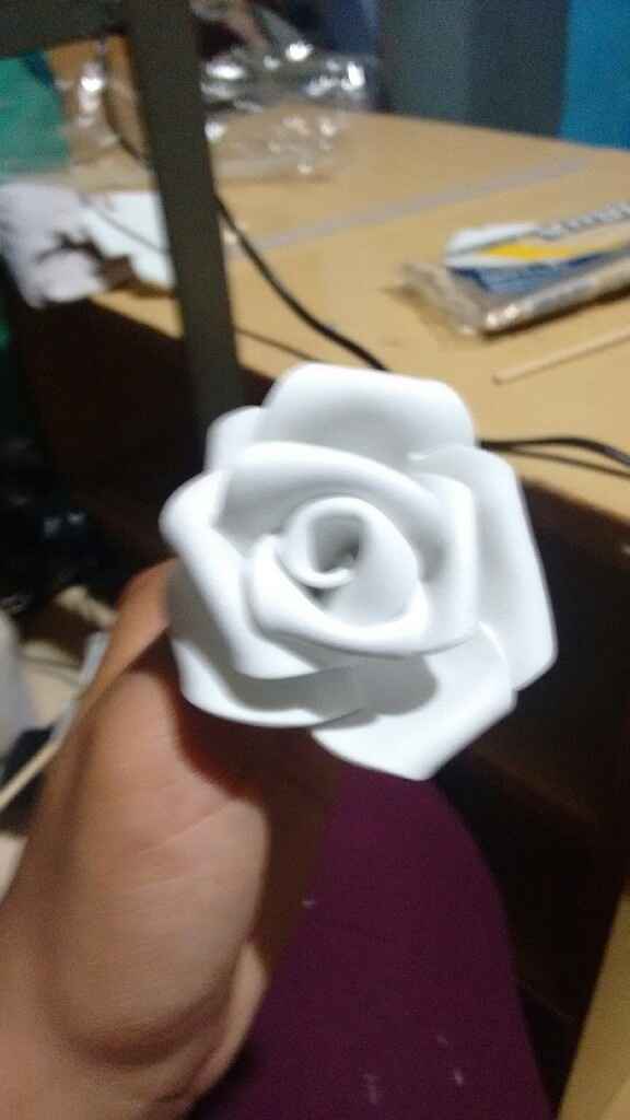 Rosas de eva - 11