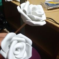 Rosas de eva - 12