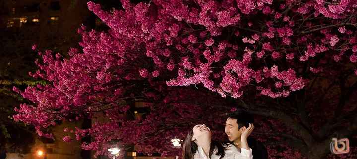 Praça do Japão