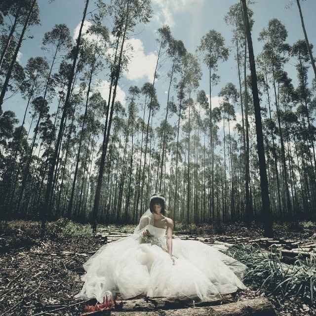 Retrato Ateliê