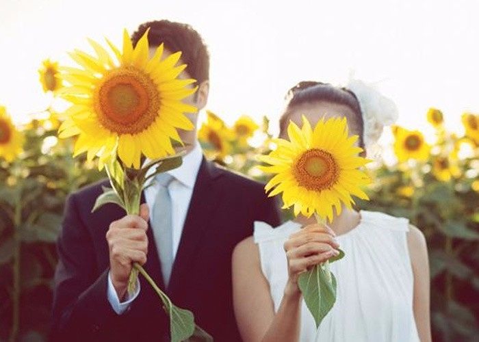 Amor em amarelo: Casal e Girassóis!