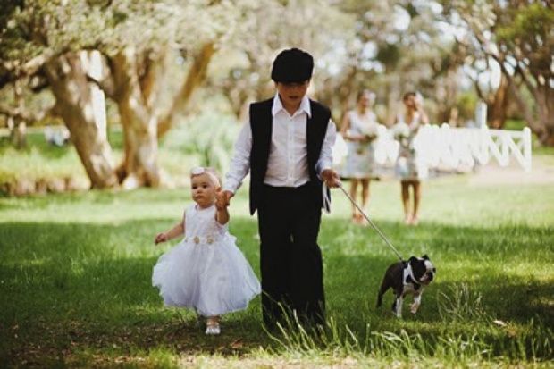 Com animais