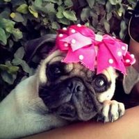 Inspirações de porta alianças s2 - 1