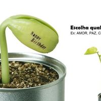 Ficando assim...