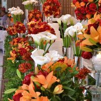 As cores para meu casamento.