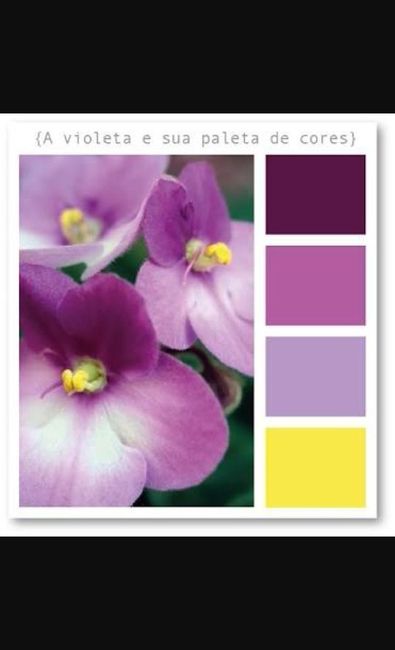 Minhas cores