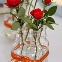 rosa vermelhas 