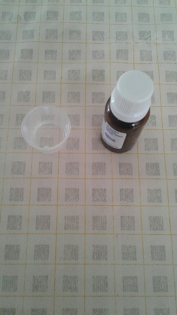  Formandas de doce diy - 3