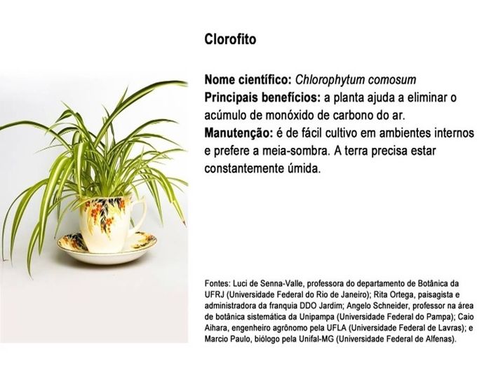 planta 3