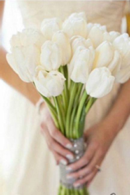 Tulipas brancas compõem um buquê clássico e delicado. 