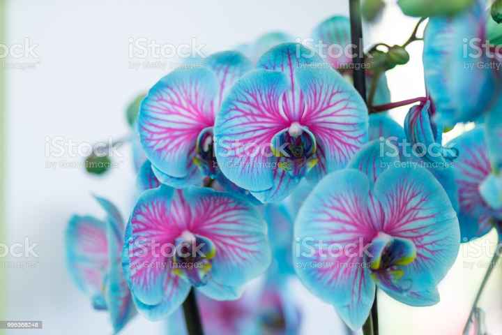 Essas cores Combinam! - 4