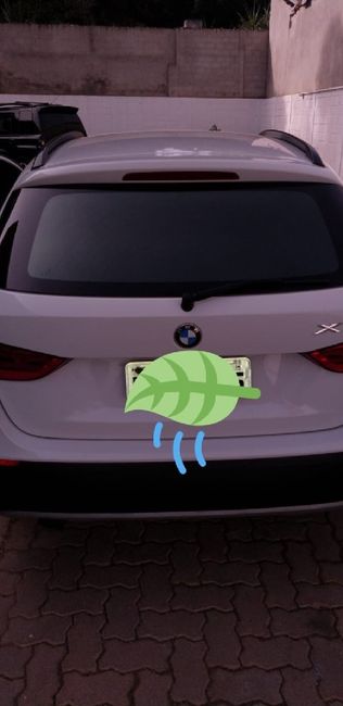 Vem ver "meu" Carro da Noiva #semcusto - 2