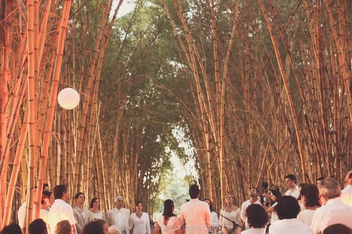 Casamento bambuzal