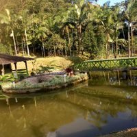 Meus fornecedores em joinville - 2