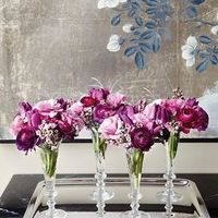 Inspiração para Arranjos