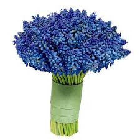Bouquet 8