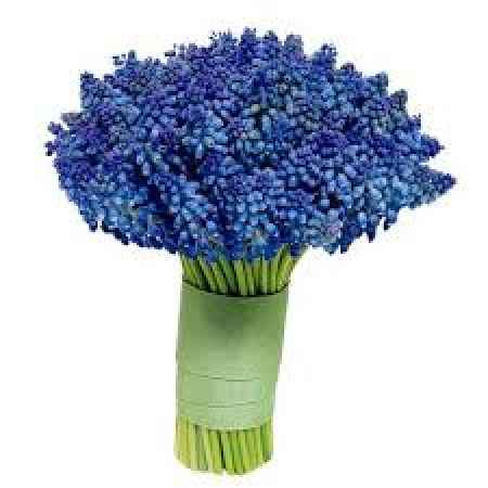 Bouquet 8