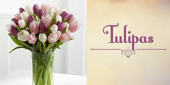 #noivamusa- dicas de flores para a decoração - 4