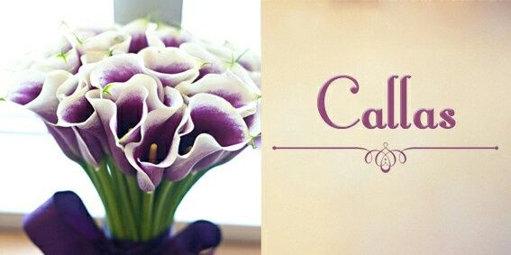 #noivamusa- dicas de flores para a decoração - 6