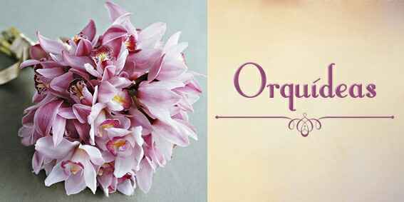 #noivamusa- dicas de flores para a decoração - 3