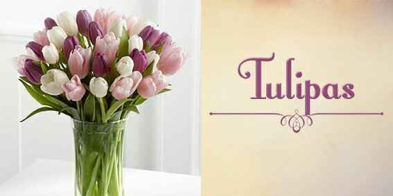 #noivamusa- dicas de flores para a decoração - 4