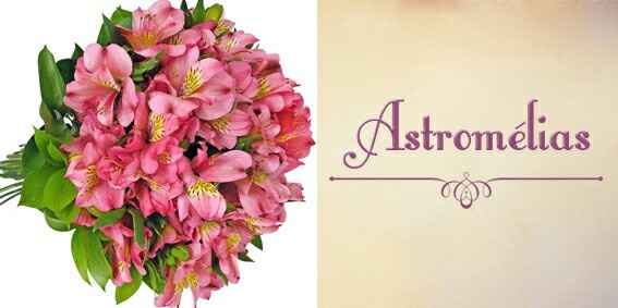 #noivamusa- dicas de flores para a decoração - 5