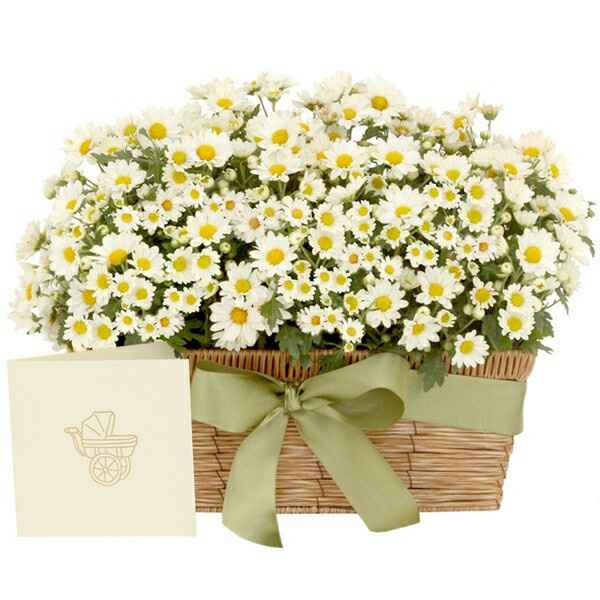 #noivamusa- dicas de flores para a decoração - 7