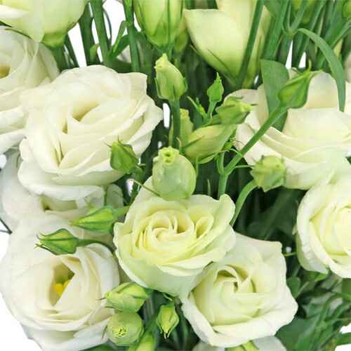 #noivamusa- dicas de flores para a decoração - 10