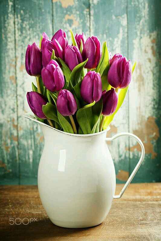 Inspiracoes na cor roxo ❤ - 6