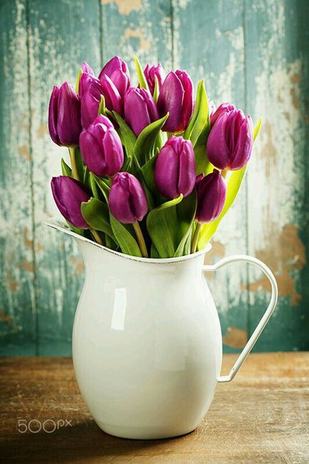 Inspiracoes na cor roxo ❤ - 6