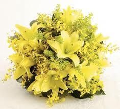 amarelo cor do sol