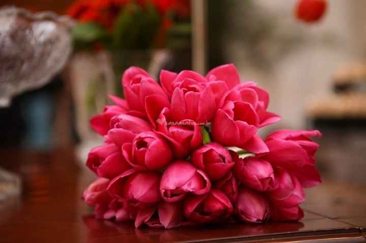 Tulipas!