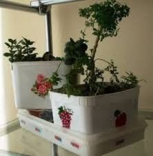 5. Pote de sorvete