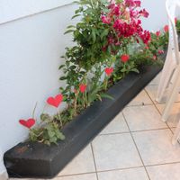 Meu casório parte ii - 9