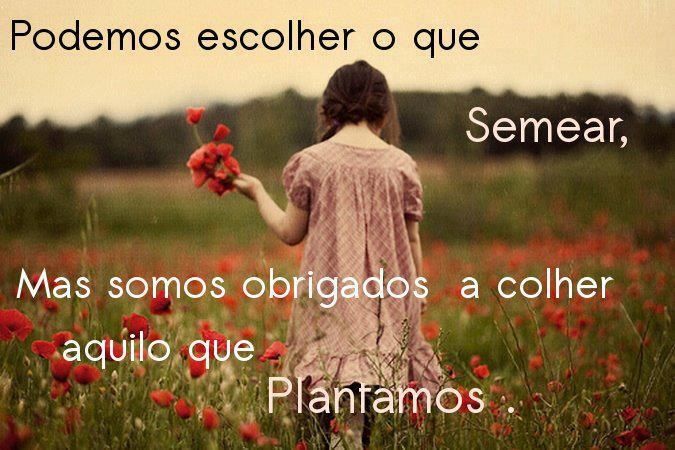 Escolhas erradas...