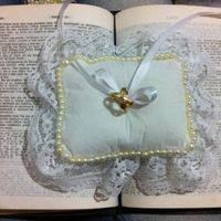 #meuportaaliancadiy - 1