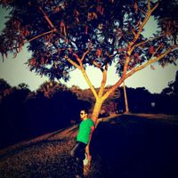 Como é difícil organizar um casamento!