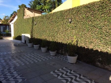 Meu Muro Ingles