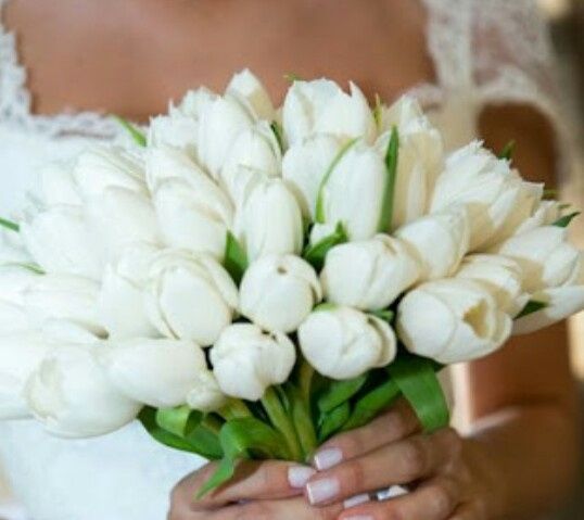 Escolhi meu bouquet - branco e azul-- qual será o de vcs? - 1